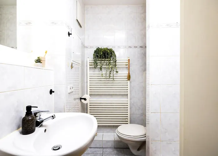 Staytime - Honey Base دريسدن