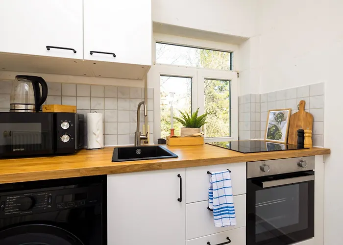 Staytime - Honey Base דרזדן