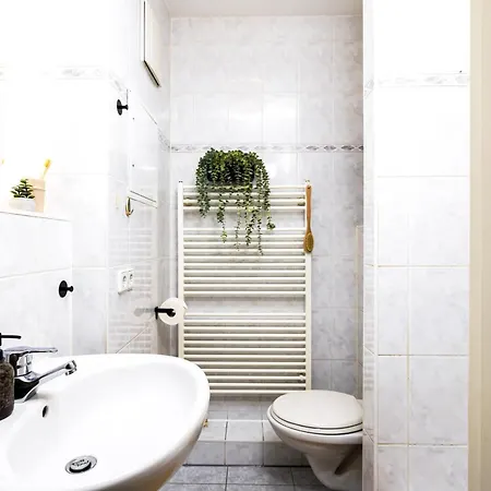 Staytime - Honey Base Dresde